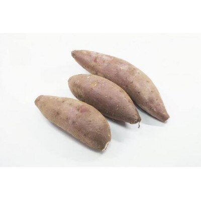 紅まさり　10kg 県内共通返礼品