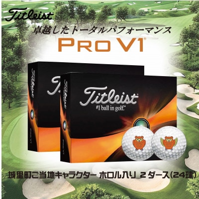 ゴルフボール　タイトリスト Pro V1　プロV1 ご当地キャラ　ホロル　イラスト入り　2ダース