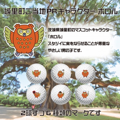 ゴルフボール　タイトリスト Pro V1　プロV1 ご当地キャラ　ホロル　イラスト入り　2ダース