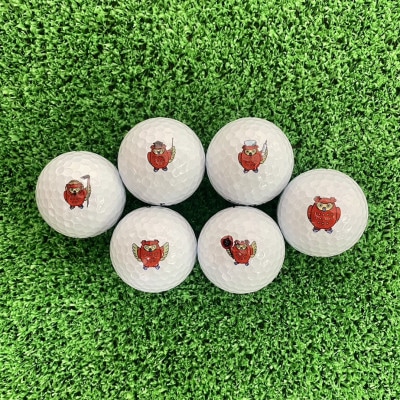 ゴルフボール　タイトリスト Pro V1　プロV1 ご当地キャラ　ホロル　イラスト入り　2ダース