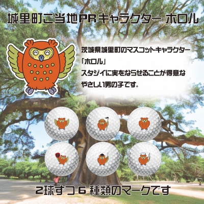 ゴルフボール　タイトリスト Pro V1x　プロV1x ご当地キャラ　ホロル　イラスト入り　2ダース