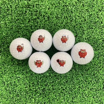 ゴルフボール　タイトリスト Pro V1x　プロV1x ご当地キャラ　ホロル　イラスト入り　3ダース