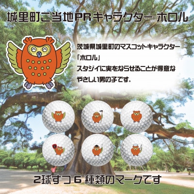ゴルフボール　タイトリスト Pro V1　プロV1 ご当地キャラ　ホロル　イラスト入り　3ダース