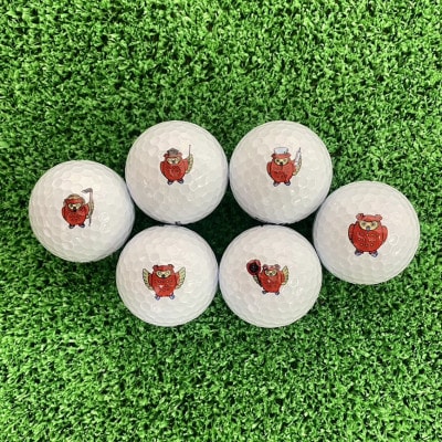 ゴルフボール　タイトリスト Pro V1　プロV1 ご当地キャラ　ホロル　イラスト入り　3ダース