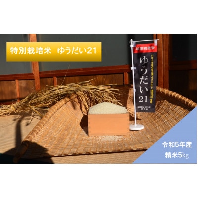y*u様 ⭐️早い者勝ち古米 20kg【生産者直送】令和5年産 和歌山県産 ひの 米 令和7年産 新米 お米 5kg 高知県産 コシヒカリ 「別格」 白米