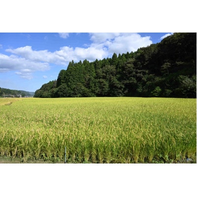 令和5年産　特別栽培米　「ゆうだい21」精米5kg