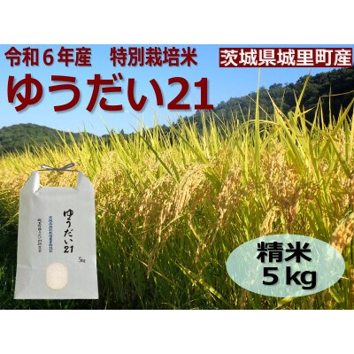 令和6年産【R5 いばらき米の極み頂上コンテスト受賞】特別栽培米「ゆうだい21」精米5kg
