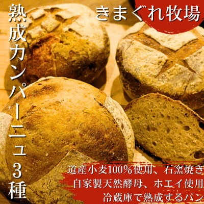 北海道産小麦100%使用、石窯焼き・自家製天然酵母・ホエイ使用の冷蔵庫で熟成するカンパーニュ3種
