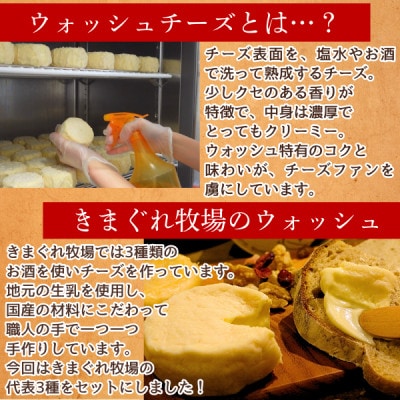 北海道産ナチュラルチーズ3種　きまぐれ牧場　ウォッシュチーズ　お酒に合うおつまみ、晩酌に