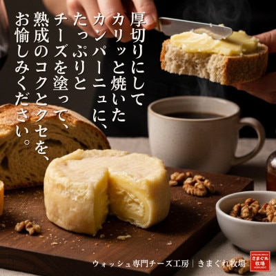 北海道産生乳100%|多数メディア紹介 大人の贅沢ウォッシュチーズ食べ比べ4種|きまぐれ牧場