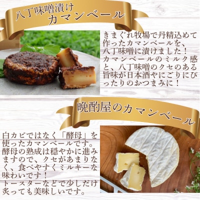 北海道産チーズのバラエティーセット(カマンベール・ウォッシュチーズ・ストリングチーズ)