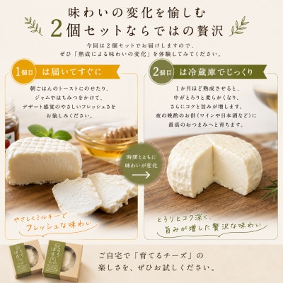 【北海道産生乳使用】熟成で味わいが変わるチーズ「ぽろろ」2個セット(計約200g)きまぐれ牧場