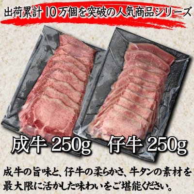 【毎月定期便】大人気製品シリーズ!はらからの逸品　牛たん　500g全12回