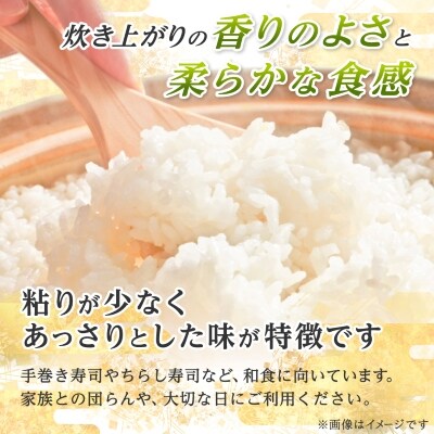 ちらし寿司用酢飯詰め合わせ