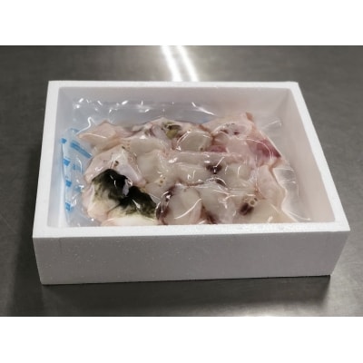 【年内・年末発送可】鮮度と品質に自信あり!朝〆新鮮!とらふぐ贅沢ぶつ切り(約600g)[冷蔵]