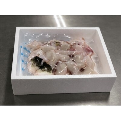 鮮度と品質に自信あり!朝〆新鮮!とらふぐ贅沢ぶつ切り(約600g)[冷蔵]