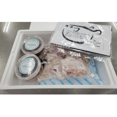 朝〆新鮮木梨ふぐのとらふぐぶつ切り・焼きヒレセット(3～4人前)[冷蔵]