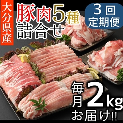 【3ヶ月定期便】2026年10月開始 小分けで便利♪大分県産 豚5種詰め合わせ(約2kg×3回)