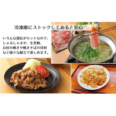【12ヶ月定期便:2026年10月開始】小分けで便利♪大分県産 豚5種詰め合わせ(約2kg×12回)