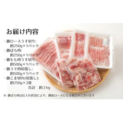 【12ヶ月定期便:2026年10月開始】小分けで便利♪大分県産 豚5種詰め合わせ(約2kg×12回)