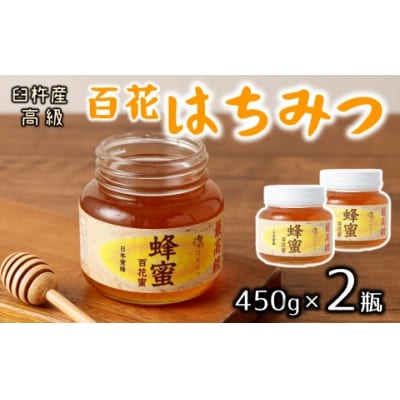 希少!臼杵産の純粋百花蜂蜜★ニホンミツバチのはちみつ(約900g)
