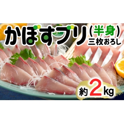 【先行受付】≪着日指定必須≫さっぱり美味い「うすき産(養殖)かぼすブリ」 (半身)