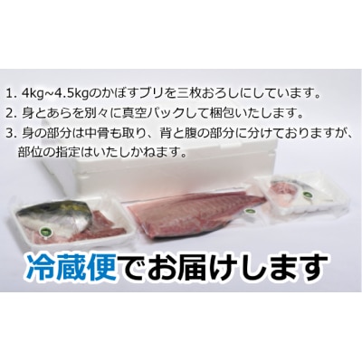 【年内・年末年始発送可】≪着日指定必須≫さっぱり美味い「うすき産(養殖)かぼすブリ」 (半身)