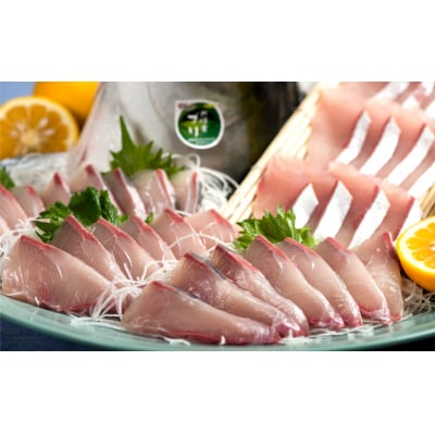 【年内・年末年始発送可】≪着日指定必須≫さっぱり美味い「うすき産(養殖)かぼすブリ」 (半身)