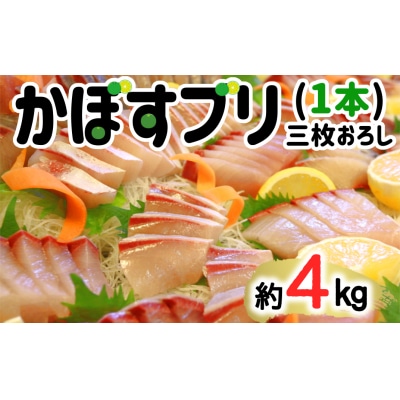 こんなブリ食べたことない!?「うすき産かぼすブリ」(1本)