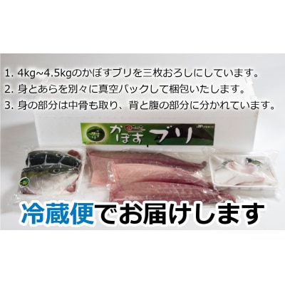 こんなブリ食べたことない!?「うすき産かぼすブリ」(1本)