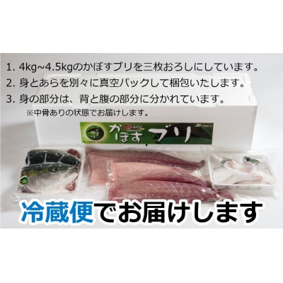 先行受付≪着日指定必須≫こんなブリ食べたことない!?「うすき産かぼすブリ」(1本)