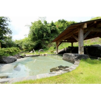 臼杵湯の里　宿泊ペア券　2名様1室1泊2食付　≪臼杵とらふぐ堪能コース≫