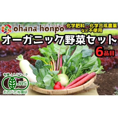 有機JAS認証★ohana本舗厳選オーガニック野菜セット(6品目)