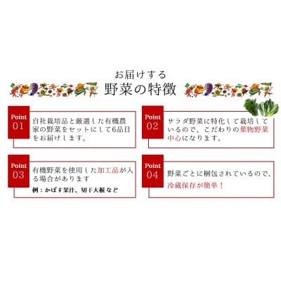 有機JAS認証★ohana本舗厳選オーガニック野菜セット(6品目)