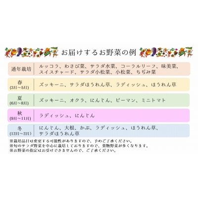 有機JAS認証★ohana本舗厳選オーガニック野菜セット(6品目)