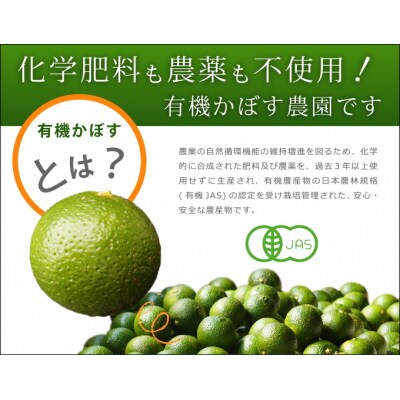 【先行受付】安心安全♪有機JAS認証のカボス青果【2kg】