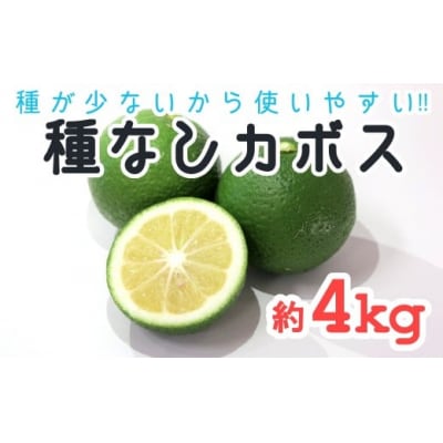 種が少ないから使いやすい!佐々木さんの「種なし(小種)カボス」約4kg