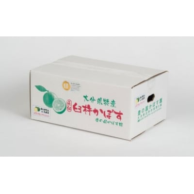 種が少ないから使いやすい!佐々木さんの「種なし(小種)カボス」約4kg