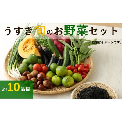 野菜ソムリエがセレクト!「うすき旬のお野菜セット」