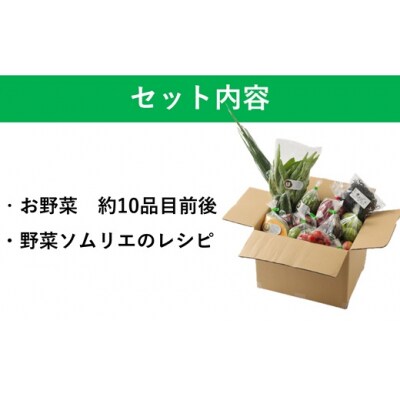 野菜ソムリエがセレクト!「うすき旬のお野菜セット」