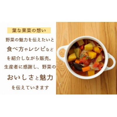 野菜ソムリエがセレクト!「うすき旬のお野菜セット」