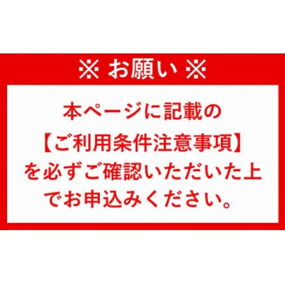 【1名様ご招待券】臼杵焼豆皿づくりとほんまもん野菜ランチ体験