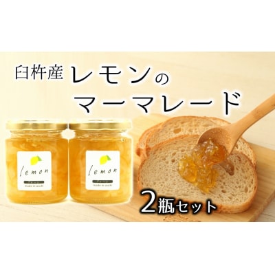 臼杵産レモンのマーマレード(2個)