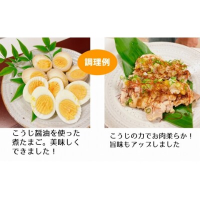 カニ印　イキイキ生こうじ(1㎏)