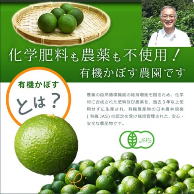 【先行受付】安心安全♪有機JAS認証のカボス青果(4kg)