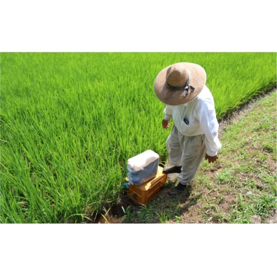 【令和7年度産】こだわり農法の「れんげ米」精米(2kg)