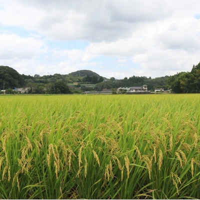 【令和7年度産】こだわり農法の「れんげ米」精米(2kg)