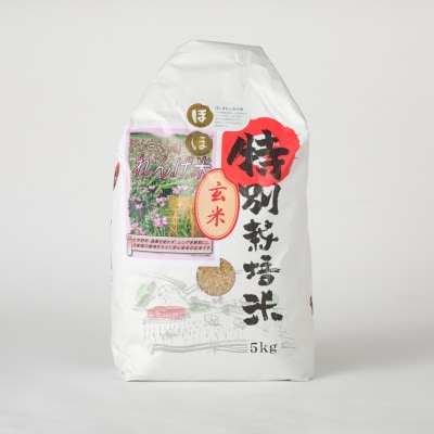 【令和7年度産】こだわり農法の「れんげ米」玄米(5kg)