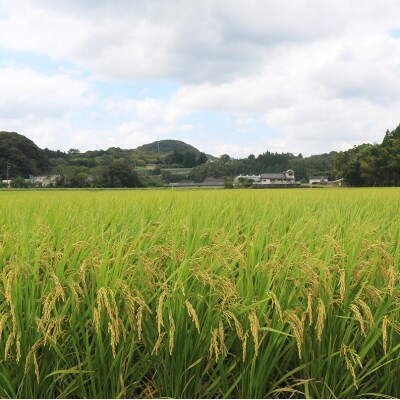 【令和7年度産】こだわり農法の「れんげ米」玄米(5kg)
