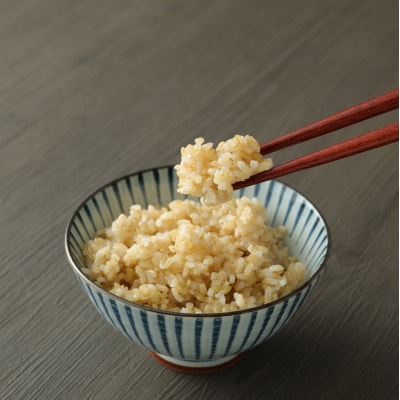 【令和7年度産】こだわり農法の「れんげ米」玄米(5kg)